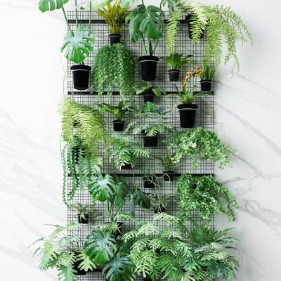 绿植墙盆栽3d模型