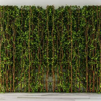 植物墙藤蔓3d模型
