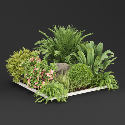 绿植灌木从3d模型