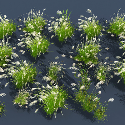 绿植草丛花草3d模型