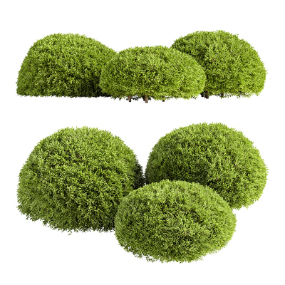 绿植灌木丛3d模型