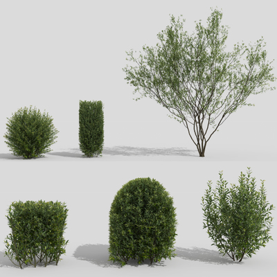 绿植树木灌木丛3d模型