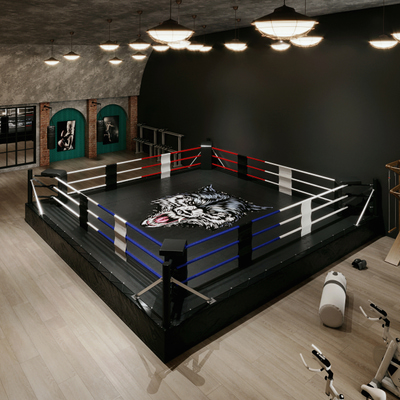 健身房拳击馆3d模型