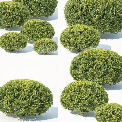 景观绿植灌木丛3d模型