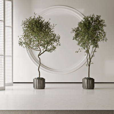 室内植物绿植盆栽3d模型
