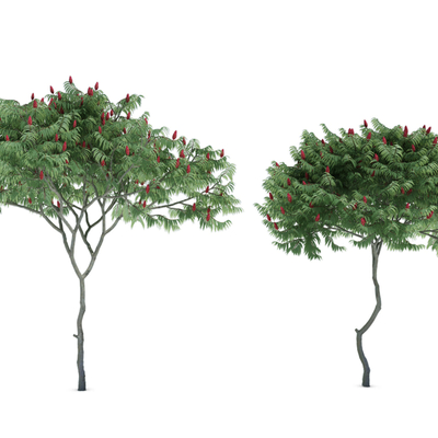 树木3d免费模型下载