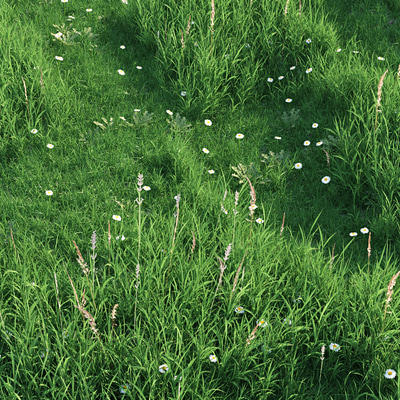 绿植草地草坪3d模型