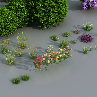 植物花草灌木丛3d模型
