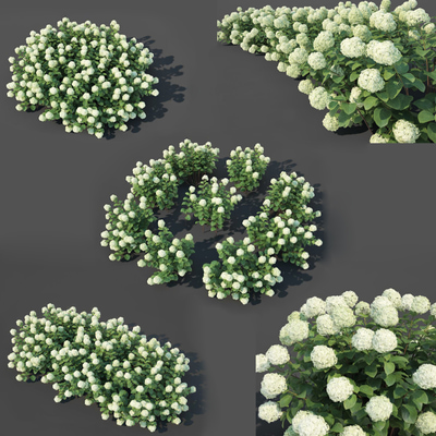 植物花草3d模型