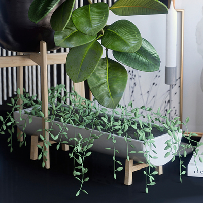 植物绿植盆栽摆件3d模型