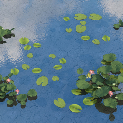 池塘荷花景观3d模型