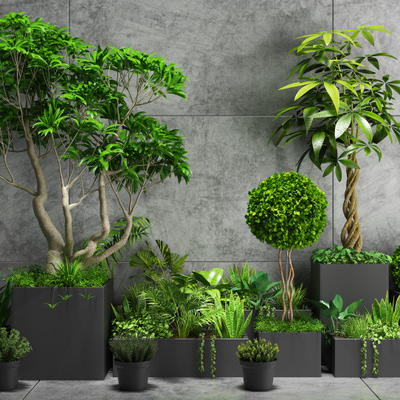 绿植盆栽3d模型下载