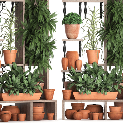 植物架盆栽绿植3d模型