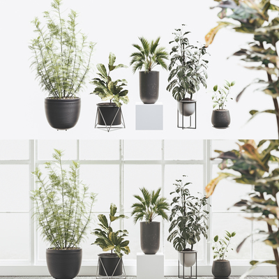 植物绿植盆栽3d模型