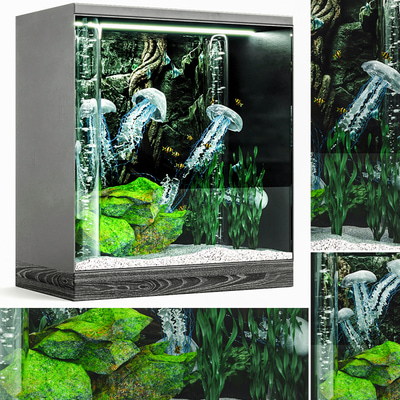 鱼缸水族箱3d模型