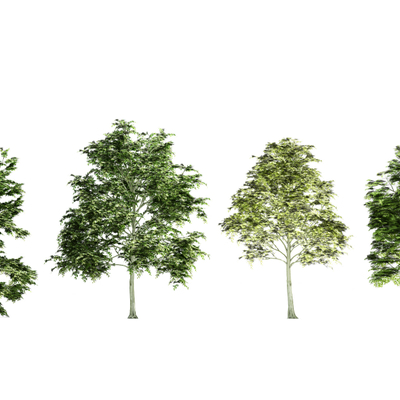 树木3d免费模型下载