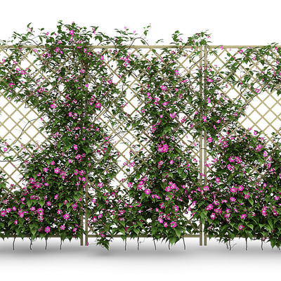 植物墙藤蔓免费3d模型