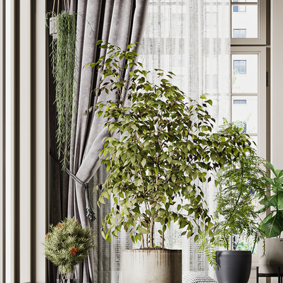 室内植物绿植盆栽吊兰3d模型