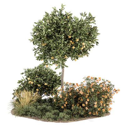 植物灌木草3d模型