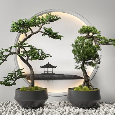 盆景盆栽罗汉松3d模型