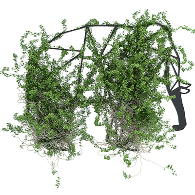藤蔓植物免费3d模型