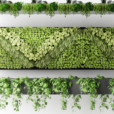 绿植墙盆栽3d模型