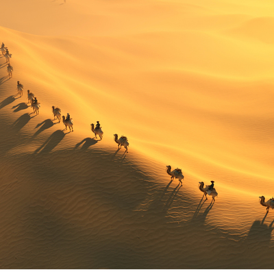 沙漠景观3d模型